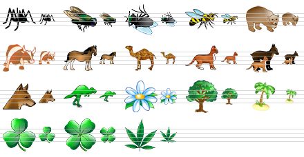 science icon set - spider, fly, dead fly, bee, bear, bull, horse, camel, cat, pets, dog, dinosaur, flower, tree, coconut tree, clover leaf, four-leafed clover, hemp leaf icon